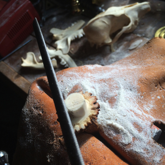 Leather and Bone - Picture 5 of 8